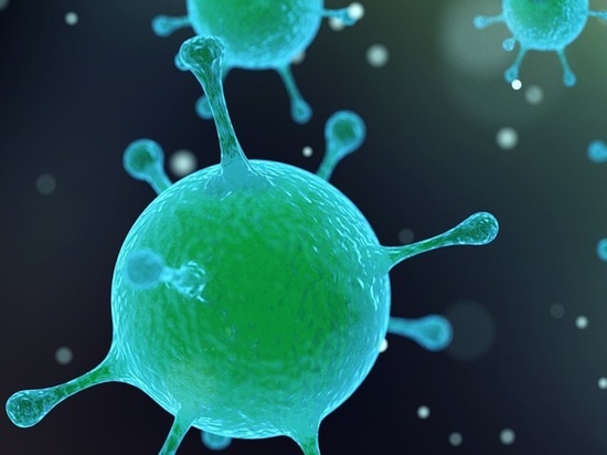 Биолог Абизов предупредил об угрозе мирового распространения вируса "Нипах"