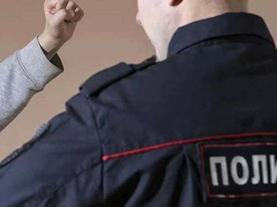 Житель Калмыкии за телесные повреждения полицейским отсидит в колонии