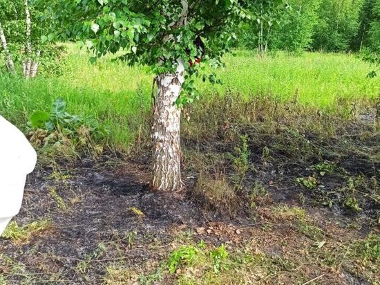 Молния убила женщину в башкирском лесу