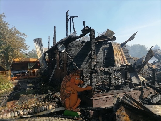 В Ярославской области сгорел музей ежей