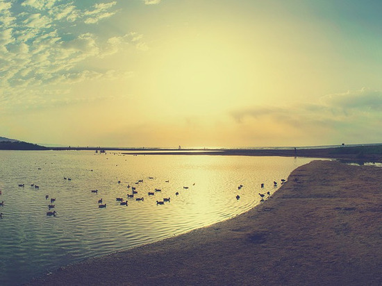 В донецком ставке ведут поиски утонувшего