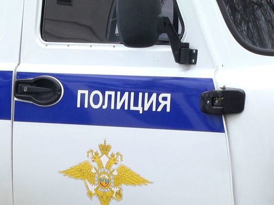 В Приамурье нетрезвый виновник автоаварии пытался спрятаться от полиции в кустах