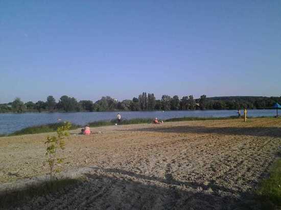 Белгородских детей планируют массово учить плаванию