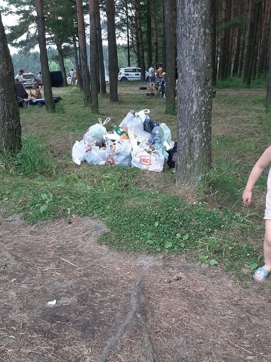 Ярославцы за выходные загадили все пляжи и парки