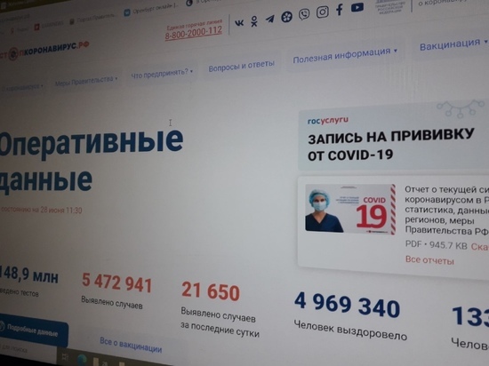 Оренбуржцев предупреждают о клонах сайтов о коронавирусе