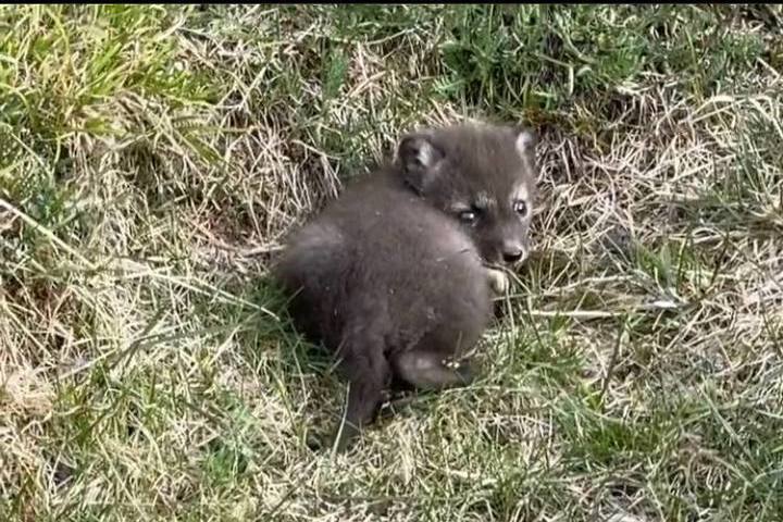 ХАМАС опубликовал новое видео с заложниками