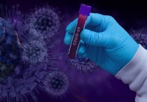 Вирусолог Даниэль Андерсон, работавшая до ноября 2019 года в лаборатории института вирусологии в Ухане, считает, что коронавирус возник естественным природным путем