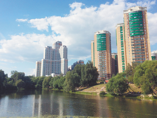 Названы самые экологические чистые и грязные районы Москвы