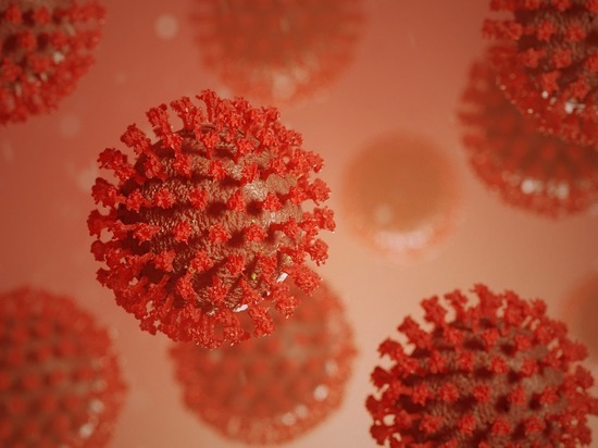 какое время держатся антитела к коронавирусу в организме человека после болезни