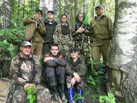 Костромские студенты-биологи подсчитали мышей и лягушек в Кологривском лесу