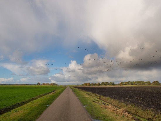 Из Украины в ДНР за день въехало более 260 человек