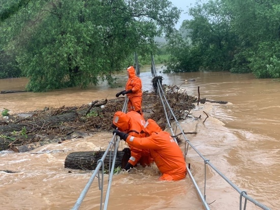 Вода в Демянском районе за несколько часов поглотила 30 дворов