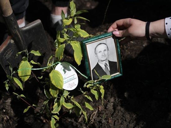 РМК подвела итоги акции "Сад памяти", за время которой было высажено 25 тысяч деревьев