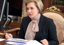 Главный санитарный врач РФ Анна Попова в ходе заседания президиума координационного совета при правительстве по борьбе с пандемией коронавируса обратилась к премьер-министру Михаилу Мишустину с просьбой поддержать проект постановления о запрете массовых мероприятий в России