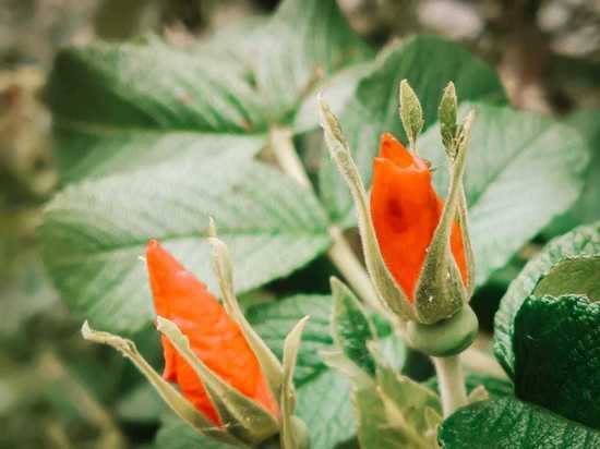 Озвучен прогноз погоды в Хабаровске и крае на 30 июня