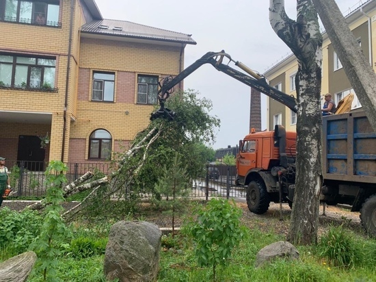 В Рыбинске устраняют последствия урагана