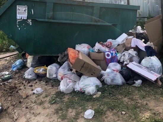 Любимов заявил о массовых жалобах на вывоз мусора в Рязанской области