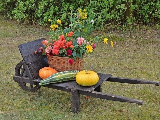 В Альметьевском селе прошел фестиваль дружбы и согласия «Учук»
