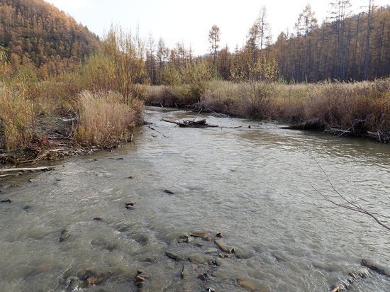За загрязнение реки в Селемджинском районе золотодобытчик заплатит почти миллион рублей