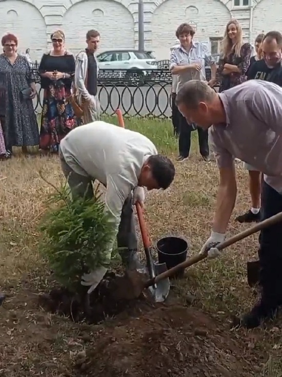 Коллектив Волковского театра посадил еще одну елку