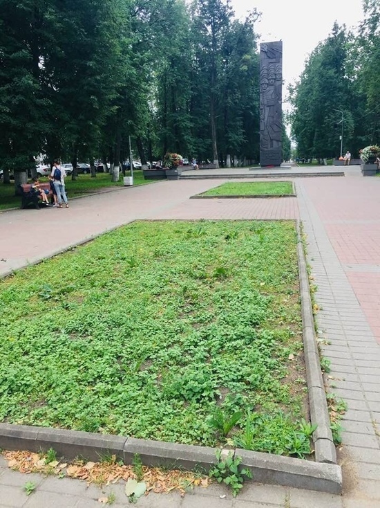 Ярославские градозащитники просят вернуть клумбы
