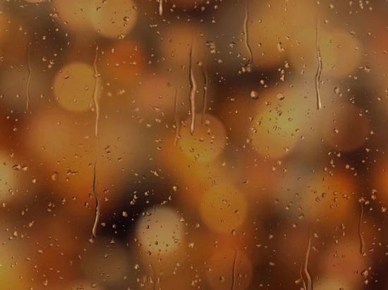 Кратковременные дожди и туманы ожидаются в Приамурье 1 июля