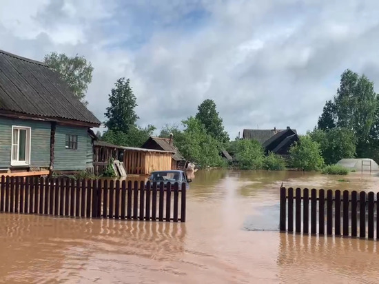 Затопленный Демянский район сняли на видео с воздуха