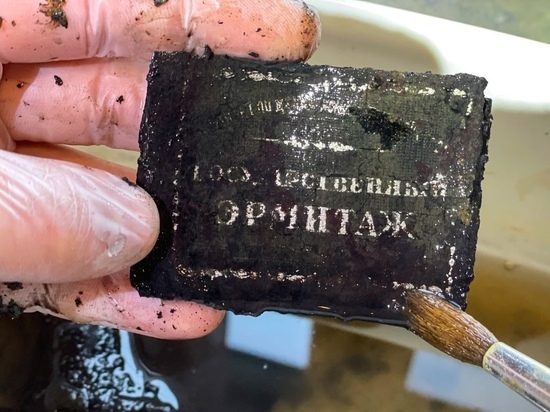 В Тосненском районе обнаружены останки солдата, работавшего в Эрмитаже