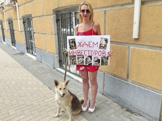 Зоозащитники с собаками устроили одиночные пикеты у здания мэрии Рязани