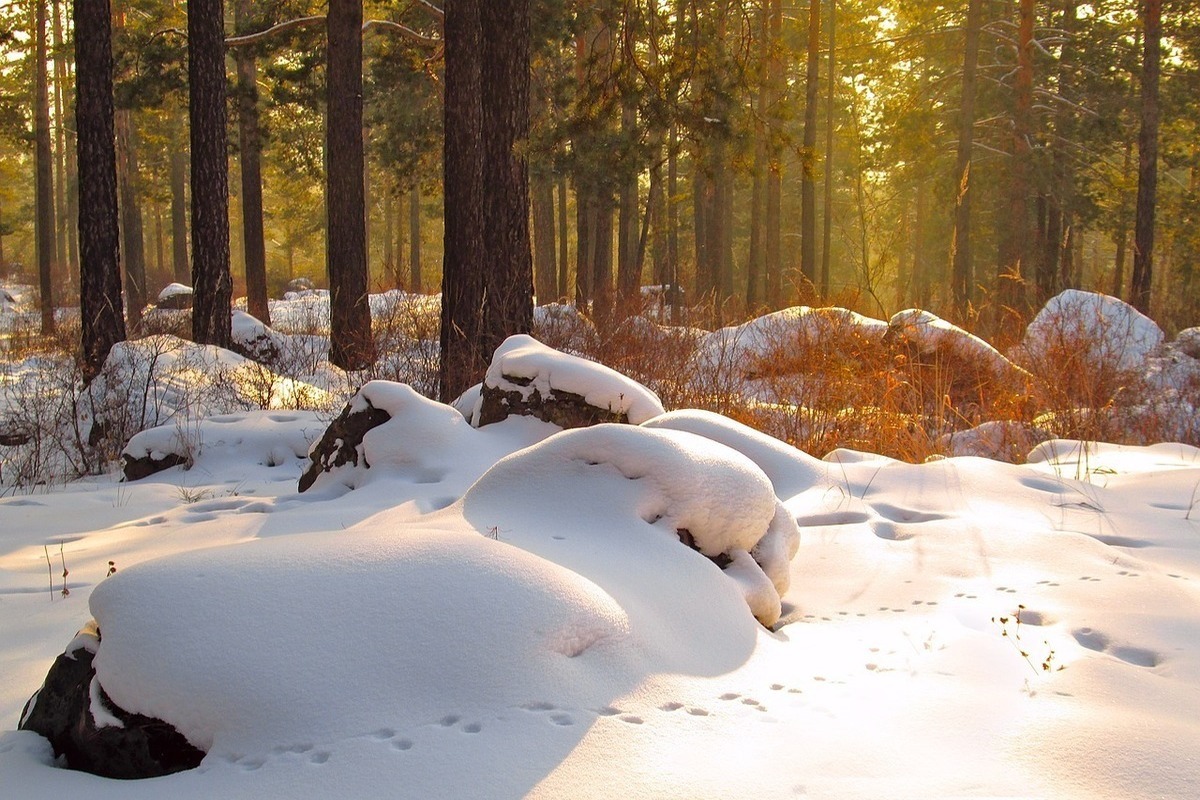 Фото на снежной