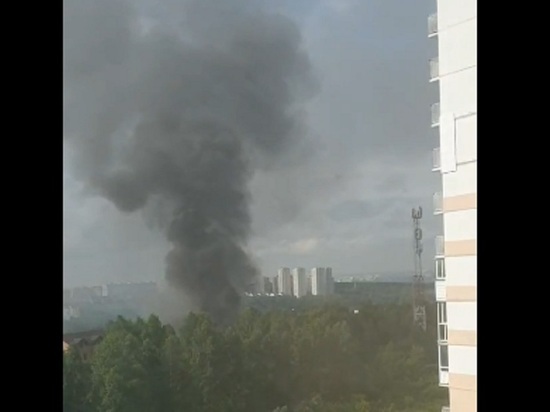 Обшитый сайдингом дом и сарай сгорели в СНТ «Ветеран» в Новосибирске