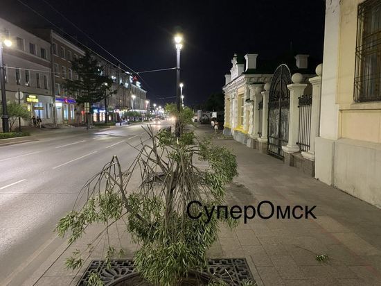 Неизвестный изуродовал шаровидные ивы на улице Ленина вблизи Концертного зала