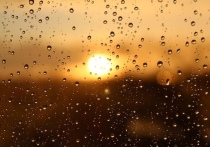 2 июля, в пятницу, в Томске будет жарко, однако вечером ожидается небольшой дождь