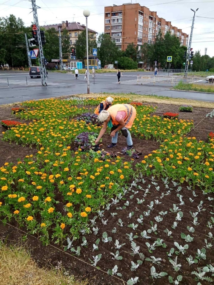 Петрозаводский лесопильно мебельный комбинат