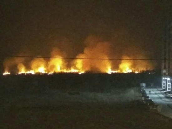 "Будто там ад": южноуральцы обсуждают в соцсетях ночной пожар в лесу