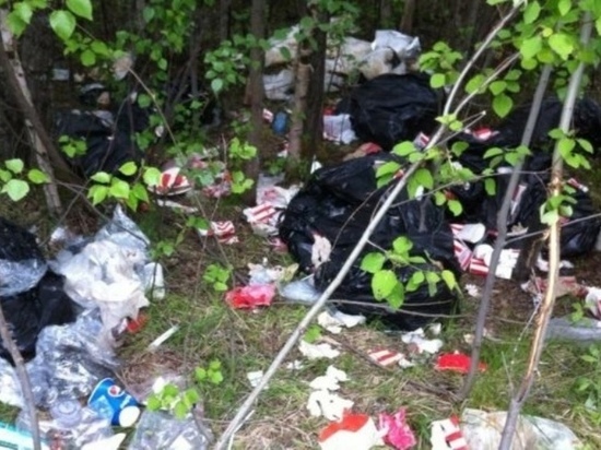 Свалку из отходов ресторана KFC в Ноябрьске ликвидировал трудотряд