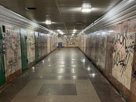 Шапша предложил превратить подземный переход Калуги в арт-объект