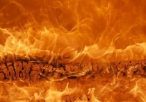 В Новосибирске сотрудники Росгвардии спасли мужчину, который пытался забрать документы из горящего дома