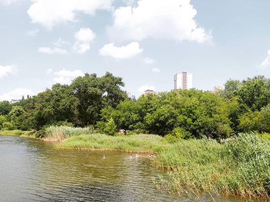 В водоемах ЛНР с начала года утонули 11 человек