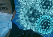 В Красноярском крае за сутки на 2 июля коронавирусом заболели 278 человек