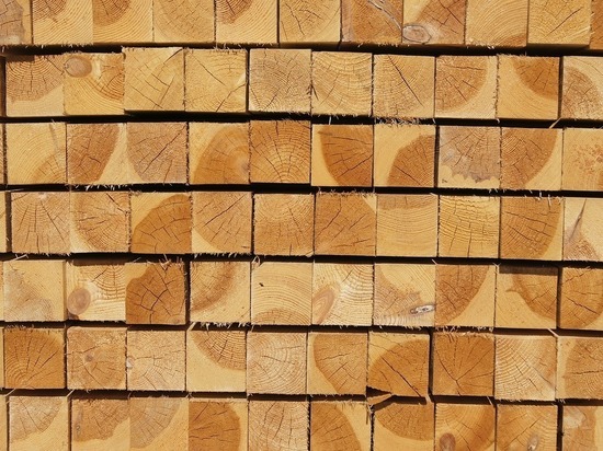 С начала года в Башкирии на 65 процентов выросло производство древесины