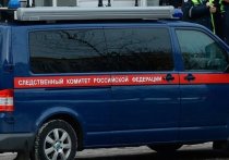 В Санкт-Петербурге полицейскими обнаружено тело Кристины Лисиной, которая участвовала в съёмках различных видеофильмов для взрослых