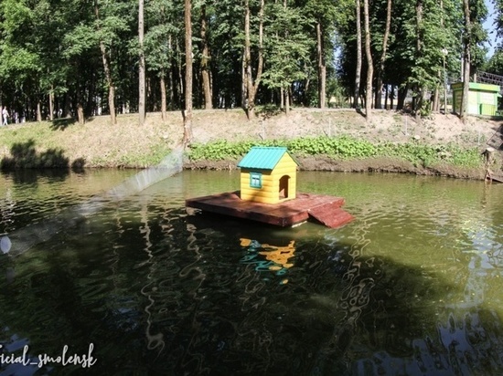 В Лопатинском саду в Смоленске установили новый домик для лебедей