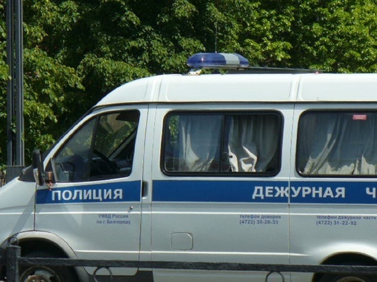 Белгородца подозревают в нарушении половой неприкосновенности 11-летней девочки