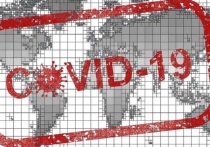 Ситуация с пандемией коронавируса в мире сейчас очень опасна, уверен глава Всемирной организации здравоохранения (ВОЗ) Тедрос Аданом Гебрейесус