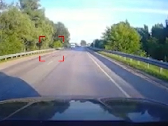 Утки спровоцировали ДТП с пятью пострадавшими под Новосибирском