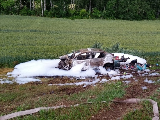 В ДТП на тамбовской трассе пострадали 7 человек, погиб ребёнок