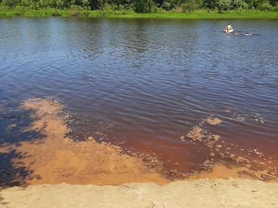 Рязанское минприроды установило юрлицо, загрязняющее реку Старицу