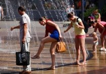 Первое воскресенье июля по прогнозам синоптиков ознаменуется самым настоящим летним теплом, местами даже аномально тёплым для сибирского региона