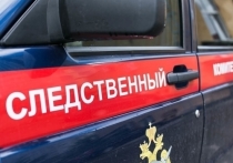СКР возбудил уголовное дело после гибели двух маленьких девочек, погибших в автомобиле, который стоял во дворе их дома в Каменском районе Ростовской области